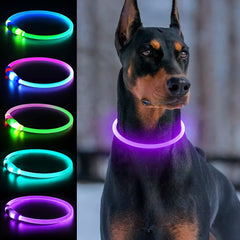 Collar LED Dlitk para perros morado ilumina paseos nocturnos