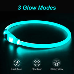 DLITK collar con iluminación USB recargable para mayor visibilidad nocturna