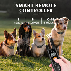 DOG CARE collar ajuste de tamaño para perros de 15 a 100 lb cómodo