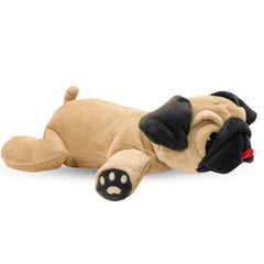 Dog Dog Pedro Pug, mini me peludo, ideal para abrazos suaves y fotos tiernas.
