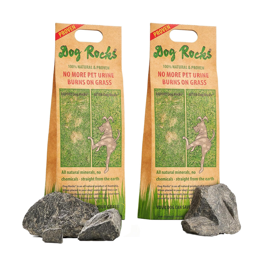 Dog Rocks para hierba: reducción de manchas por orina en el césped.