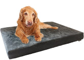 Dogbed4less cama ortopédica con espuma de memoria gel gris, soporte estable y cómodo.