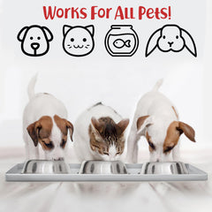 DogBuddy superficie lisa facilita limpieza y desinfección rápida.
