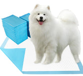 Dogcator almohadillas extragrande 30x36: absorción amplia para entrenamiento cómodo.