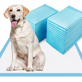Dogcator XL almohadillas absorbentes para cachorros con gran capacidad de absorción.