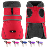 Dogcheer abrigo impermeable para perro, mantiene seco durante caminatas humedas.