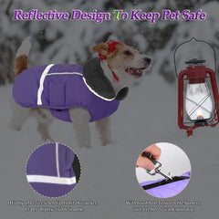 Dogcheer exterior impermeable mantiene seco al perro