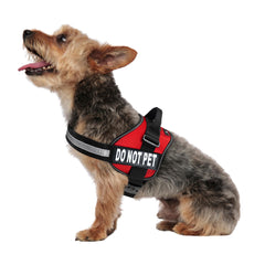 Doggie Stylz parche-no-tocar; señal clara para pedir espacio durante paseos y entrenamiento.