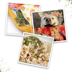 Doggijuana juguete para perros, actividad interactiva que estimula el olfato.