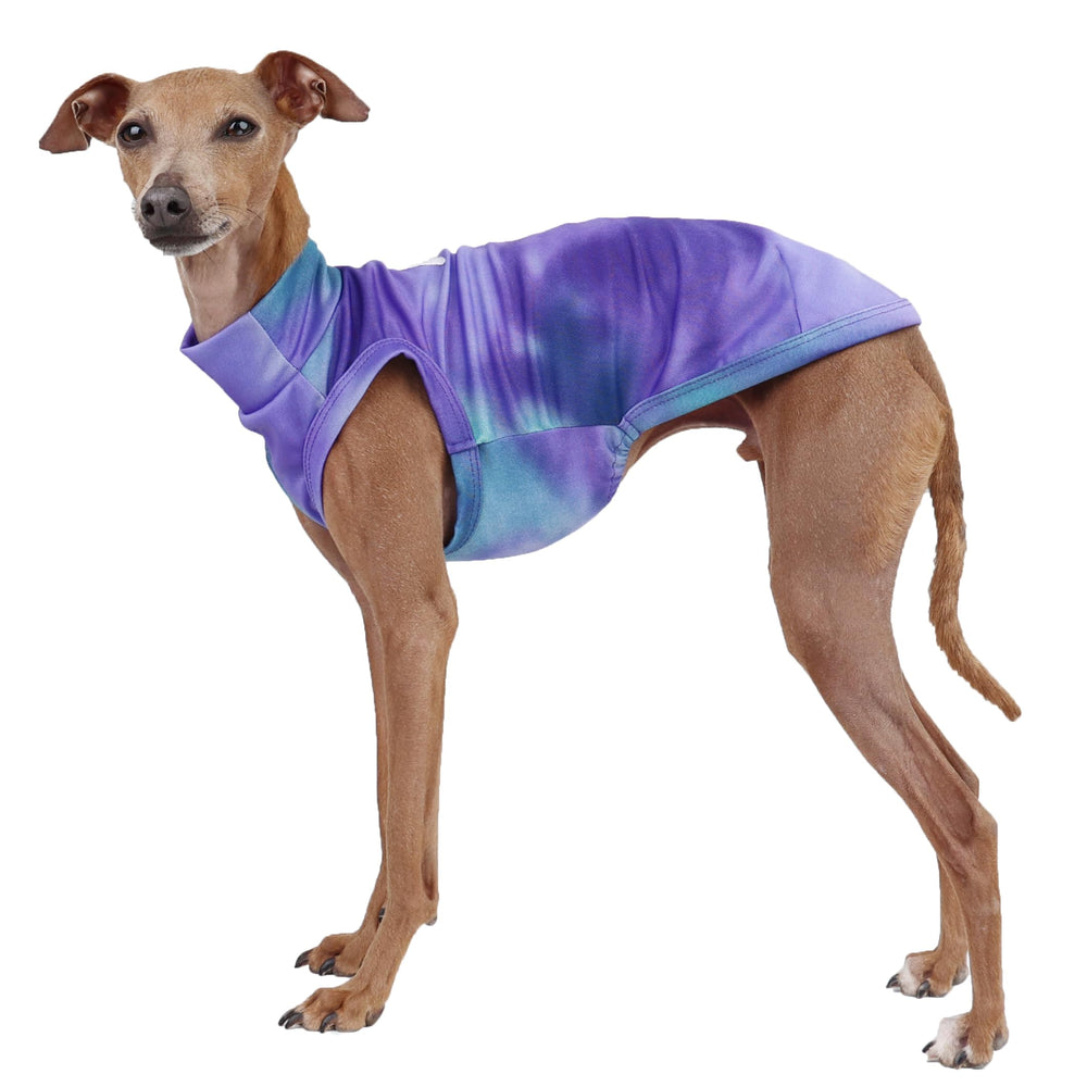 doggystar camiseta verano galgo italiano, comodidad para paseos bajo el sol
