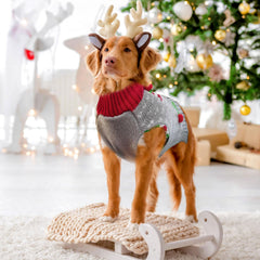 DOGGYZSTYLE prenda suave y elástica para comodidad diaria y eventos.