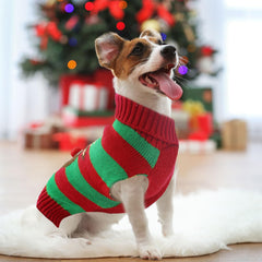 DOGGYZSTYLE suéter cuello alto: abriga durante inviernos fríos.