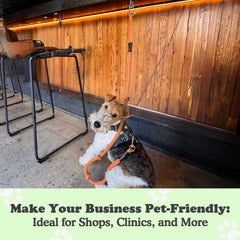 Doghook Canine Hitch: adecuado para clínicas veterinarias y mejorar la experiencia del cliente.