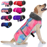 Doglay abrigo para perro con vista frontal, ideal para paseos diarios.