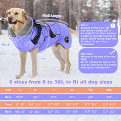 Doglay capa con bandas reflectivas aumenta visibilidad nocturna para caminar.