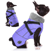 Doglay capa para perros con arnés integrado mejora seguridad durante paseos.