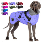 Doglay capa para perro con arnés integrado, seguridad y comodidad en paseos.