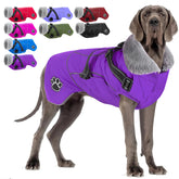 Doglay cazadora impermeable con arnés integrado para paseos seguros.