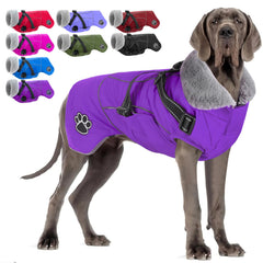 Doglay cazadora impermeable con arnés integrado para paseos seguros.