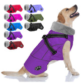 Doglay chaqueta impermeable con arnés integrado en el frente, para paseos seguros