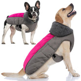 Doglay chaqueta impermeable para perros protege contra lluvia y viento