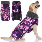 Doglay chaqueta impermeable para perro protege contra lluvia y frío durante paseos.
