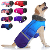 Doglay chaqueta impermeable para perros protege en días lluviosos.