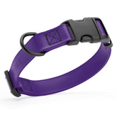 Dogline Biothane collar impermeable púrpura, fácil de limpiar tras juegos al aire libre.