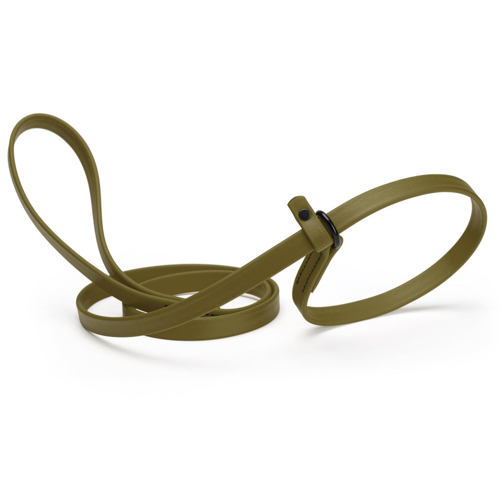 Dogline Biothane Slip Leash verde oliva 7 ft, ideal para paseos diarios