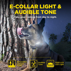 Dogtra 1900X iluminación LED para localizar al perro con claridad.