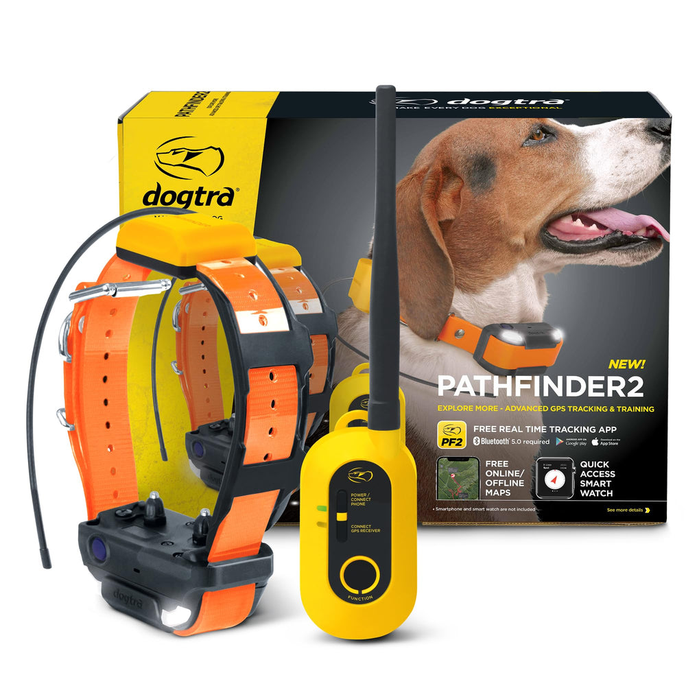 Dogtra Pathfinder 2 muestra rastreo en tiempo real para perros en aventuras al aire libre