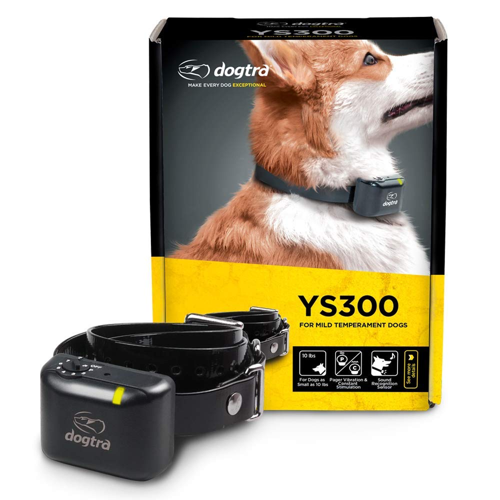 Dogtra YS300 receptor compacto para control de ladridos con diseño discreto.