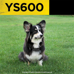 Dogtra YS600 contactos de acero 5-8 para piel sensible.