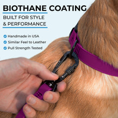 DogTraxs Biothane resistente a olores y al agua, fácil de limpiar.