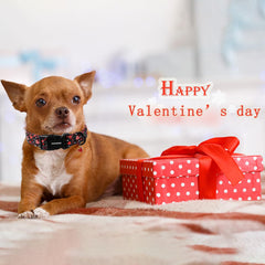 Collar DOGWONG de diseño San Valentín, ideal para paseos diarios