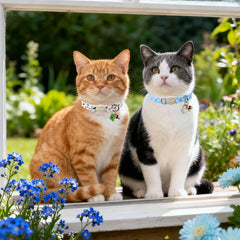 Dos collares DOGWONG para gatos