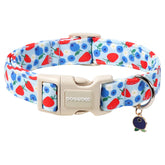 collar dogwong fresa con cierre plastico duradero, ideal para paseos diarios.