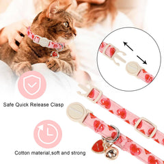 Hebilla de seguridad tipo rotura en collar DOGWONG para mayor seguridad.
