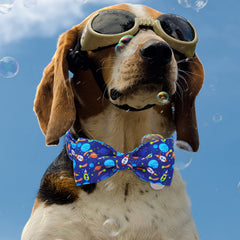 Hebilla metálica de alta calidad en collar DOGWONG