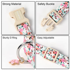 DOGWONG collar hebilla plástica resistente para uso diario.