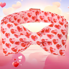 Collar DOGWONG con hebilla rápida, fácil de quitar y ajustar.