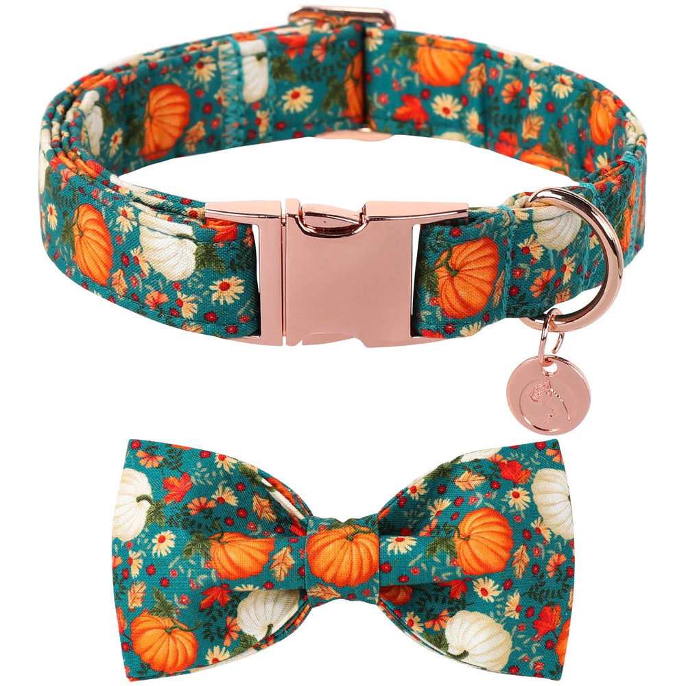 DOGWONG collar con lazo de algodón y calabaza, perfecto para fotos y salidas.