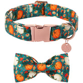 DOGWONG collar con lazo de algodón y calabaza, perfecto para fotos y salidas.