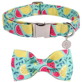 Collar DOGWONG de algodón veraniego con lazo limón, cómodo y elegante para perros.