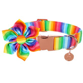 Collar DOGWONG de algodón arcoíris, cómodo para paseos con estilo diario.