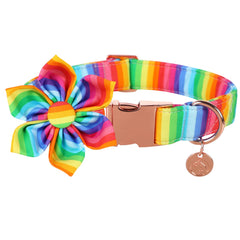 Collar DOGWONG de algodón arcoíris, cómodo para paseos con estilo diario.