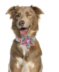 Collar DOGWONG diseño único de corazón rosa, ideal para ocasiones especiales.