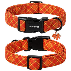 DOGWONG collar con hebilla plástica duradera para uso diario.