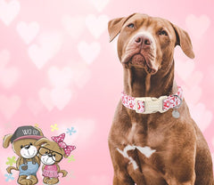 DOGWONG collar con hebilla plástica duradera facilita ponerse y quitarse.