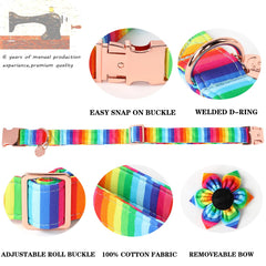Collar DOGWONG con lazo desmontable para cambiar el look.